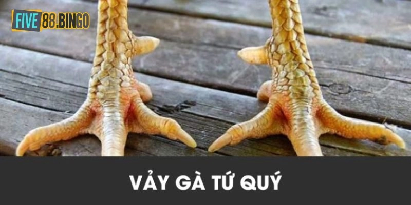 Đặc điểm nổi bật của chiến kê có vảy gà tứ quý
