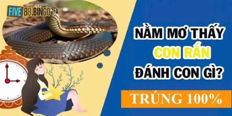 Mơ rắn cắn người khác